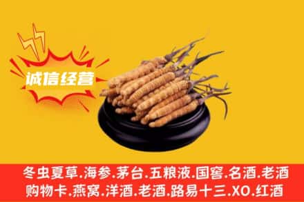 周宁县回收冬虫夏草